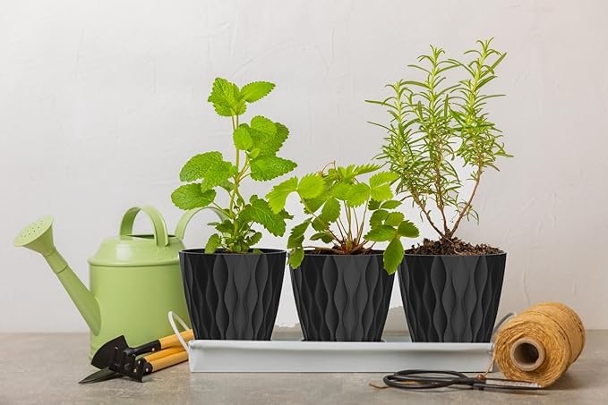 4 Inch Plant Pots, 6 Pack Indoor Flower Pots, Planters with Drainage Holes and Trays for Orchids, Violets, Succulents, Herbs, and Other Plants, Black SQKH