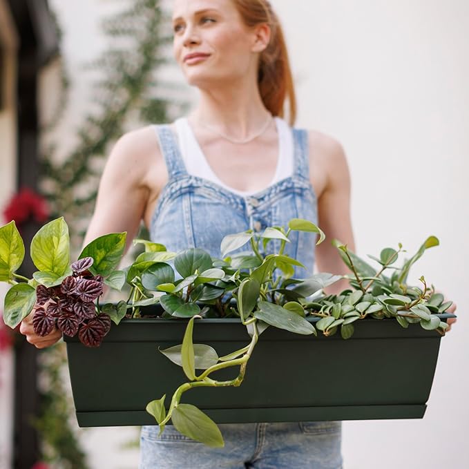 Bloem Dayton Window Box Planter: 24" - Turtle Green - 100% Recycled Durable Plastic Box, Elevated Feet, for Indoor and Outdoor Use, Gardening, 5 Gallon Capacity Bloem