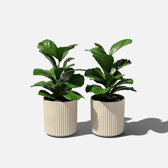 Veradek Demi Series Round Planter for Porch, Patio, Backyard | Durable Plastic-Stone Composite Material | Modern Décor for Tall Plants, Flowers VeradekOutdoor