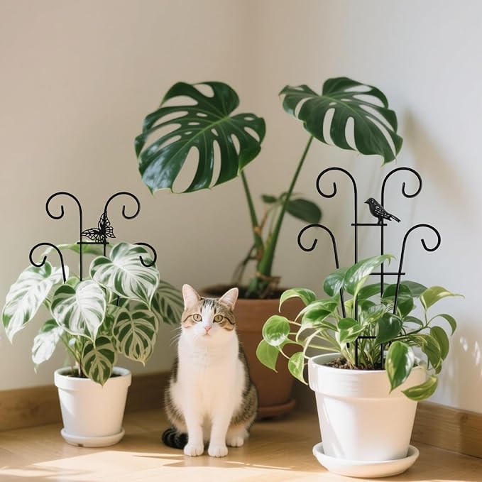 Coomin 14.5 Bird Indoor Plant Trellis for Potted Plants, Small Metal House Plant Trellis for Climbing Plants, Climber Plant Support for Hoya Pothos Ivy, 2p COOMIN