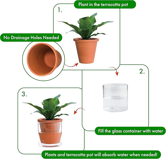 D'vine Dev 4 Inch Design Self Watering Pot for Indoor Plants, Terracotta Planter with Cylinder Glass Cup, 37-X-A-1 DvineDevPlanterPotsandStand