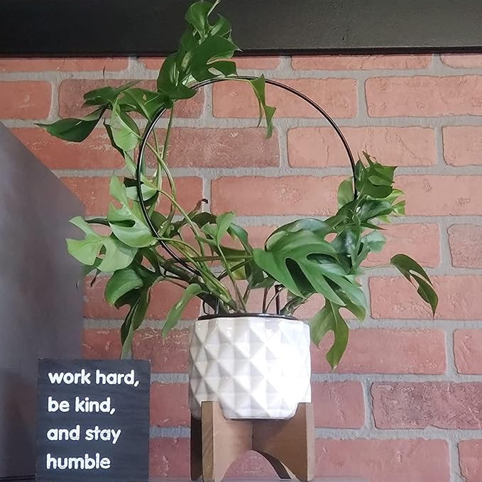 Acrux7 10 Pcs Circle Indoor Plant Trellis for Potted Plants, 10 Inch Small Hoya Trellis for Climbing Plants, Vines, Topiary Frames WelcometoAcrux7