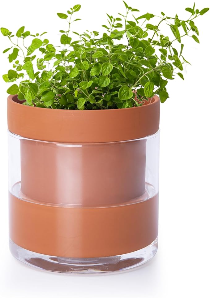 Phoenix Vine 4 Inch Self Watering Planter Pot, Terracotta Clay Pot with Glass Reservoir for Indoor Plants, Herbs, Flowers, Set of 1, 52-A-E-1 Phoenix+Vine