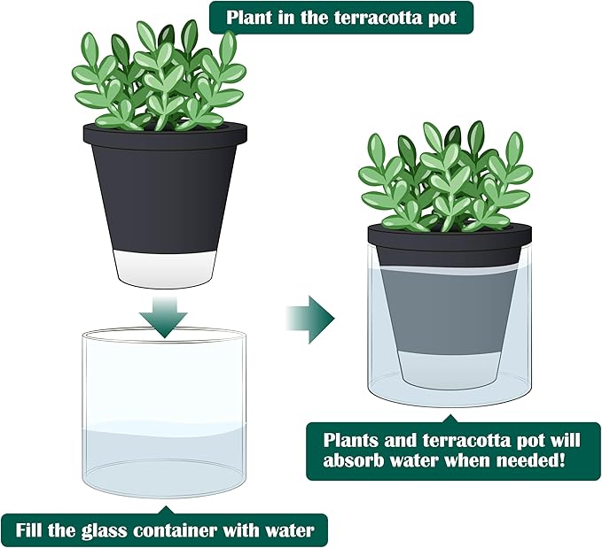D'vine Dev 4 Inch Design Self Watering Planter for Indoor Plants, Black Terracotta Pot with Cylinder Glass Cup, 37-X-A-3 DvineDevPlanterPotsandStand