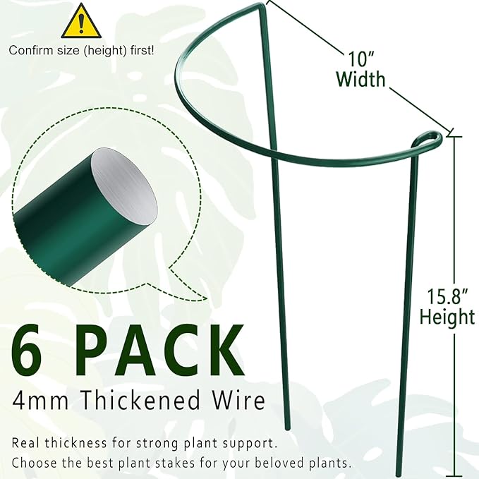 6 Pack Plant Support Stakes, 15.8" Half Round Metal Garden Plant Supports for Indoor Plants, Green Plant Cage Ring for Monstera, Peony, Hydrangea, Potted Plant Holder Sticks (10" Wide) Soupiar
