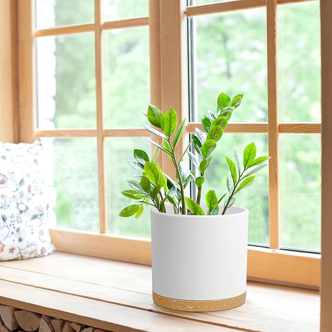 8 Inch Cylinder Flower Pots for Indoor Outdoor Plants, Medium Deep Plant Pots with Drainage Holes & Saucer, Decorative Plastic Planter Pots for Garden House Plants, White with Brown WSMKSZ
