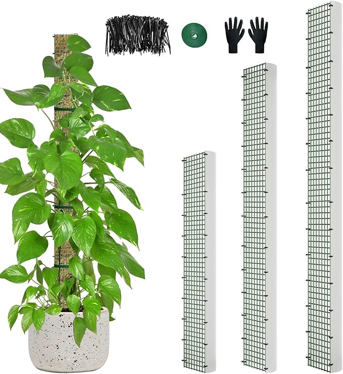 60"/40"/24" Metal Moss Pole, D Shape Sphagnum Moss Pole, Moss Poles for Climbing Plants, Monstera, Indoor Climbing Plants (1 Each of 60" 40" 24") HOLANHING