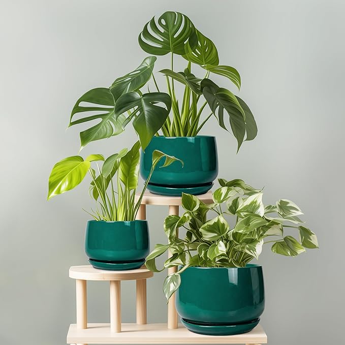 G EPGardening Ceramic Pots for Plants - 9 Inch Ceramic Planter for Indoor Plants, Round Planter with Drainage and Saucer, Modern Flower Pots for Outdoor, House Decor, Garden Gifts, Green GEPGardening