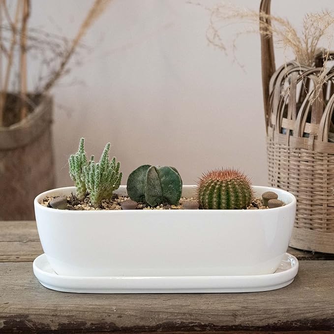 E-liu Ceramic Plant Pots, 11+14 inch, Set of 2, Planters with Drainage Holes Saucers and Mesh Pads, Indoor Flower Succulent Pot with Hole Mesh Pad, Gifts for Mom, Plants Not Included Creatingwarmandrefinedlifestylekitchenandhomeessentials