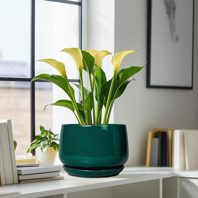 G EPGardening Ceramic Pots for Plants - 9 Inch Ceramic Planter for Indoor Plants, Round Planter with Drainage and Saucer, Modern Flower Pots for Outdoor, House Decor, Garden Gifts, Green GEPGardening