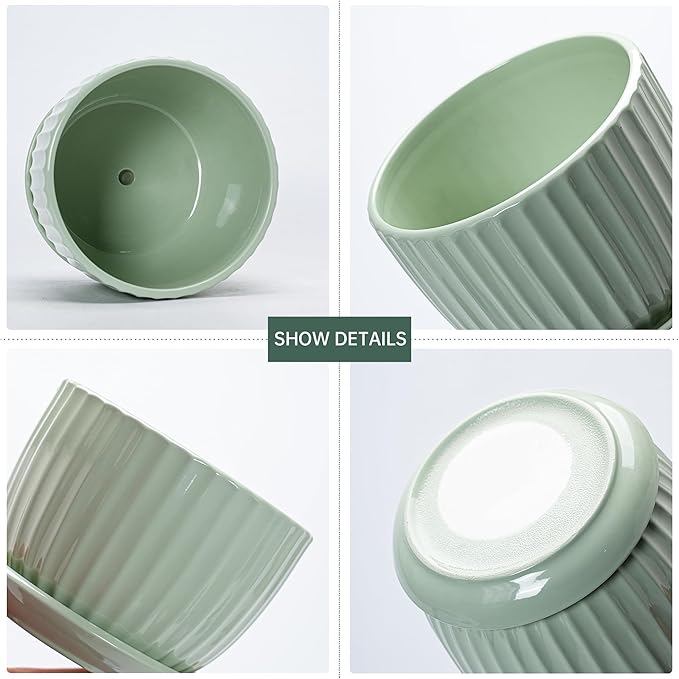 Ton Sin Flower Pots, Light Green Ceramic Plant Pots Set of 3,Small Glazed Succulent Pots with Drainage Hole,Cactus Planter with Saucer,Outdoor Garden Pots (Green) TonSin