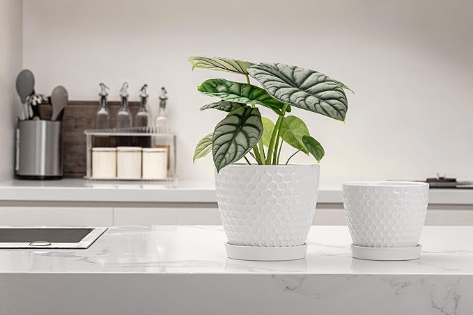 Docrin Ceramic Plant Pots Set of 2 (6.6"+5.5"), High-Fired Clay Indoor Planters with Drainage Holes & Saucer, Honeycomb Modern Home Decor for All House Plants DOCRIN