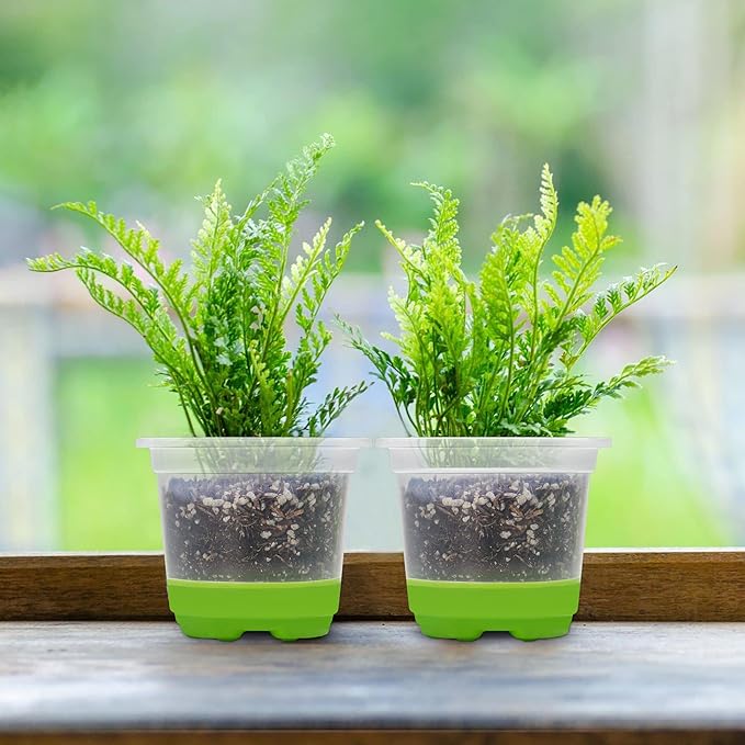MIXC Thickened Clear Nursery Pots with Silicone Base for Easy Transplant 30 Packs 4 Inch, Transparent Plant Pot Reusable Seedling Pots for Vegetable Propagation, Root Cutting, Seed Starting, Green MIXC