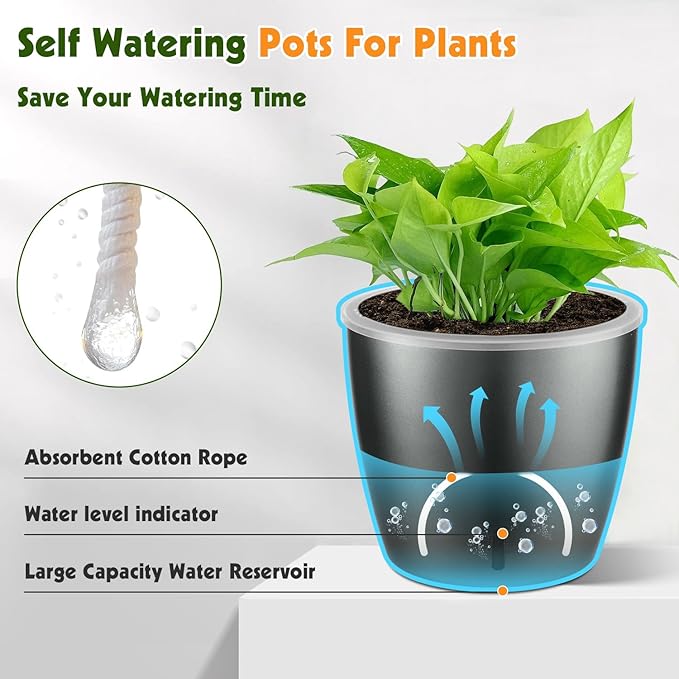Self Watering Pots for Indoor Plants, 6-Pack 6.7'' Self Watering Planter with Drainage Holes, Small African Violet Pots with Water Indicator, Clear Wick Orchid Pot, Grey Gold KvyusFlourish
