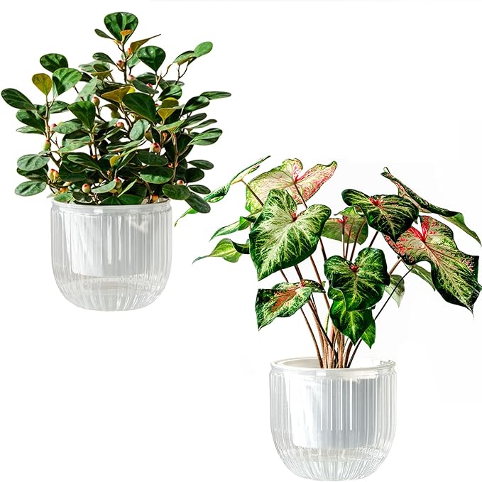 Melphoe Self Watering Pots for Indoor Plants Planter, 6.5 Inch 2 Pack Planters Self Watering Plant Pots for Flower, Houseplants, Succulent, African Violets and Cactus with Drainage Melphoe