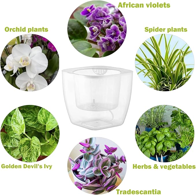 6-Pack 7 Inches Clear Self Watering Planters for Indoor Plants Large African Violet Plant Pots Plastic Wick Flower Pots with Water Injection Hole, Orchid Plant Pot Set, Clear Planterhoma