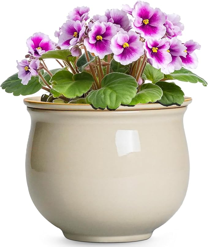 6 Inch Self Watering Pots for Indoor Plants, Ceramic African Violet Pots with Absorbent Inner Pot, Easy Self Watering Planter, Round Ceramic Flower Pot, Patio Decor, Gardening Gifts, Beige Teagas