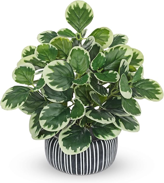 13" Artificial Plants Indoor Small Fake Plant in Ceramic Pot, Silk Plants for Home Decor Indoor, Faux Peperomia Potted Plant for Shelves, Desks, Home, Room, Office, Bedroom, Entryway, Tabletop Decor VillaComo