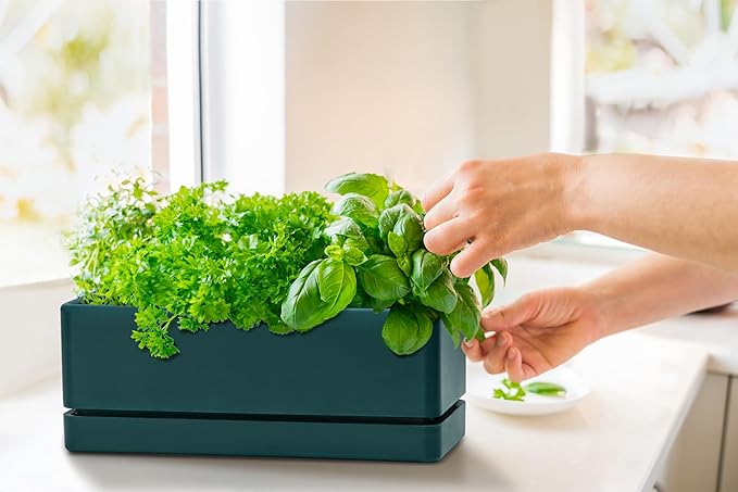 D'vine Dev 12 Inch Window Box Planter, Rectangle Plastic Herb Planter with Drainage Holes and Saucer, Indoor Succulent Cactus Vegetable Pot for Windowsill, Garden Balcony, Green, Set of 2, 76-X-C-2 DvineDevPlanterPotsandStand