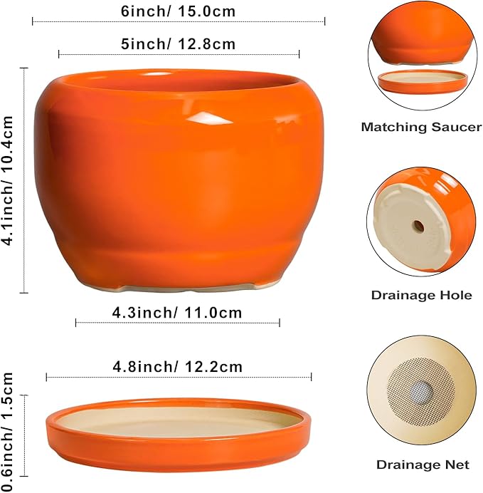 SQOWL Ceramic Plants Pots - 6 Inch Planter Indoor with Drainage Hole and Plant Saucer, Modern Round Planter Outdoor, Decorative Succulent Pot, Home Decor, Housewarming Gifts, Orange SQOWL