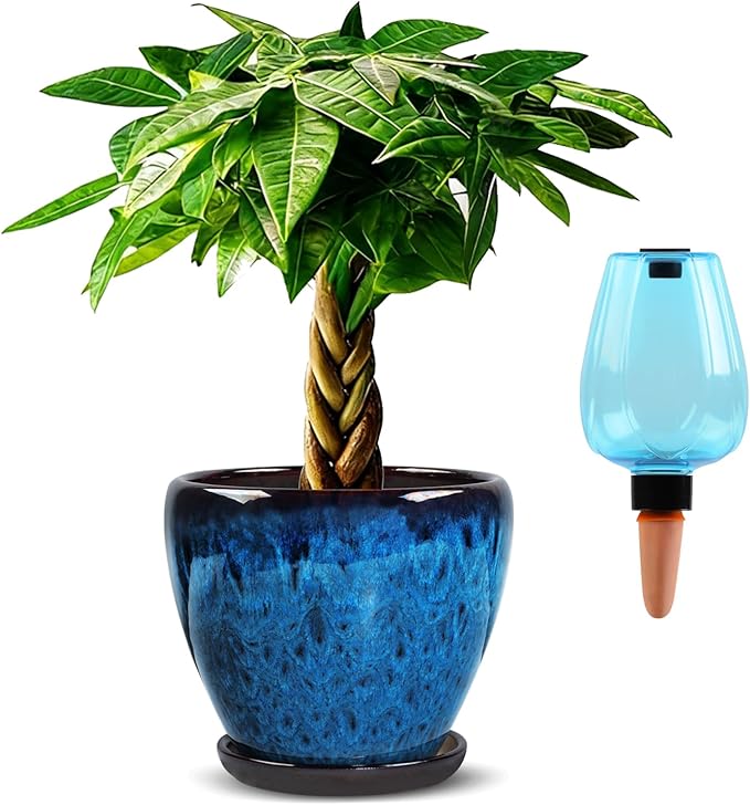 Ceramic Pots for Plant with Self Watering Globes, 8 inch Planters for Indoor Plants with Saucer, Glaze Flower Pots Outdoor with Drainage Holes, Decorative Garden Pots Xoogifae
