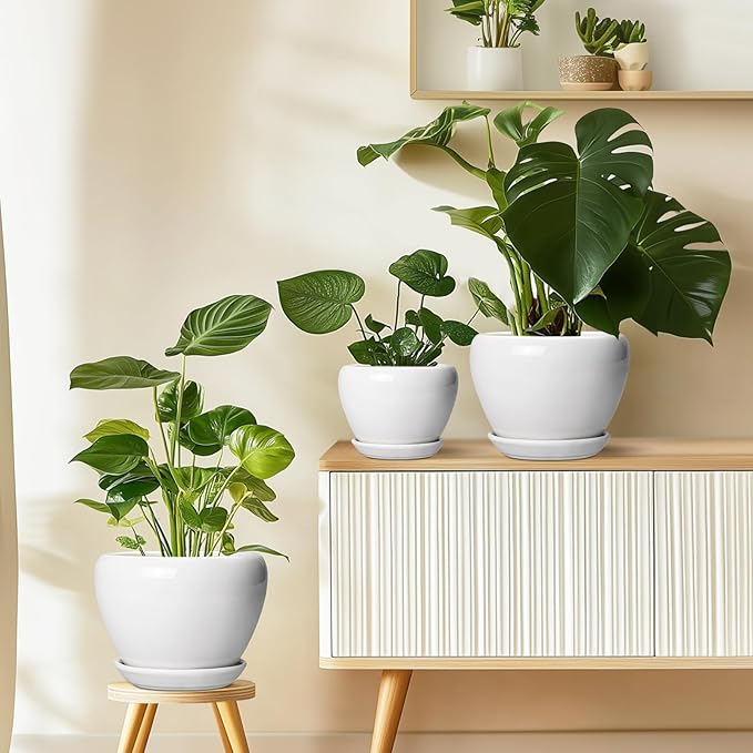 Ceramic Pot for Plants - 6 Inch Plant Pot for Succulent Plants, Glaze Modern Round Planter with Drainage Hole and Saucer, Gifts for Plant Lovers, Home Office Patio Room Decor, White Ceramicfor