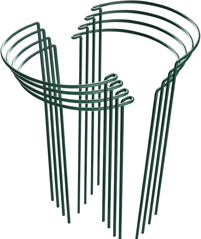 HiGift 8 Pack Plant Support Stakes, Half Round Metal Garden Plant Stake Indoor Peony Cages and Supports, Green Plant Support Ring Border for Tomato,Hydrangea,Flower Outdoor (10" Wide x 15.8" High) HiGift
