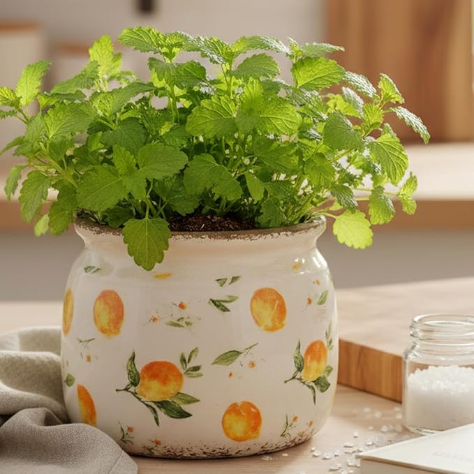 Lemon Summer Decor Plant Pot, 6 Inch Vintage Ceramic Planter with Drainage for Indoor Plants, Rustic Lemons Vase for Centerpieces, Mediterranean Kitchen Home Decor, Yellow Gifts for Gardening XiaanJiaju