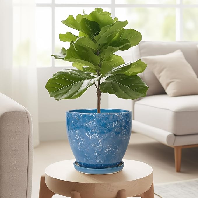 Ceramic Pots for Plants - 6.3 Inch Planter with Drainage Hole and Plant Tray, Decorative Succulent Pot, Round Flower Planter for Indoor, Garden Living Room Decor, Gifts for Plant Lovers, Blue EPFamily