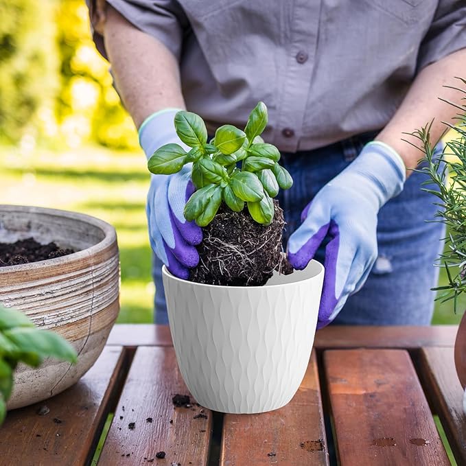 6 inch Flower Pots, 5 Pack Plant Pots with Drainage Holes and Saucers for Indoor Plants, Plastic Planters with Water Ripple for Small Garden House Plants, Nursery Pots for Succulent, White WSMKSZ