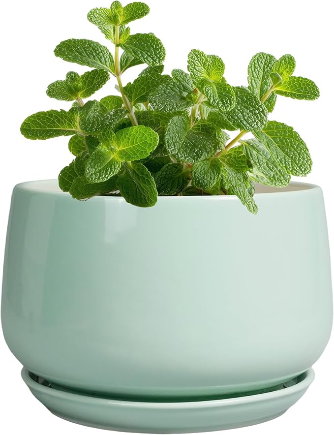 G EPGardening Ceramic Plants Pots - 4 inch Plant Pots Indoor Outdoor, Small Succulent Planter with Drainage Hole & Tray, Modern Flower Pot, Round Decorative Planters, Office Decor, Garden Gift, Green GEPGardening