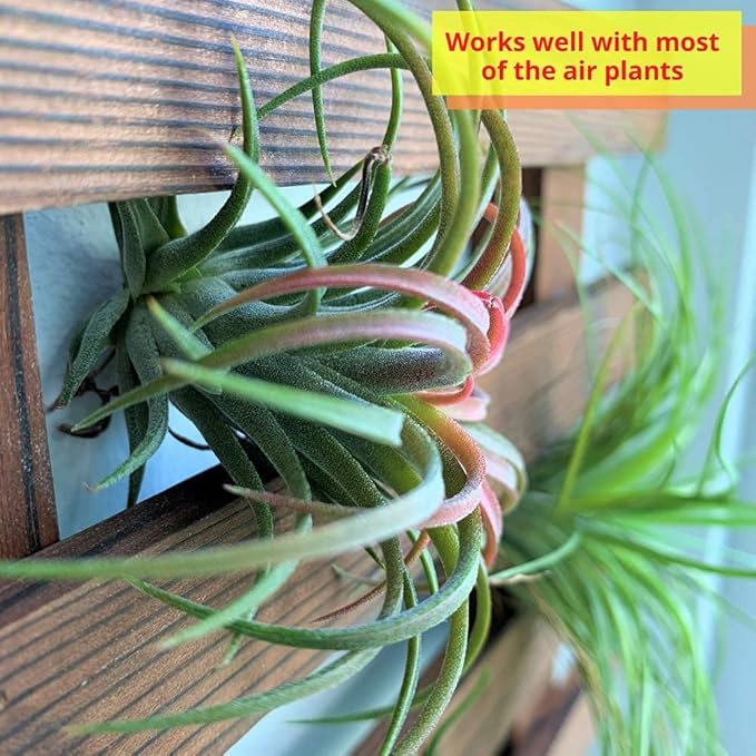 ShopLaLa Wall Planters - 4 Pack Wooden Hanging Planter for Indoor Outdoor Plants, Air Plant Succulent Orchid Holder, Live Vertical Garden Wall Mounted Plant Stand, Wall Christmas Decor 15.7" (40cm) ShopLaLa
