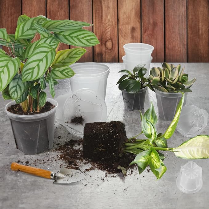 GREENPARA Transparent Plastic Planter 4/5 /6 inch Plant Nursery Pots with Drainage Hole Indoor Modern Decorative Containers for Plants, Herb, Flowers, and Cactus with 10pcs Plant Labels, 12pcs GREENPARA