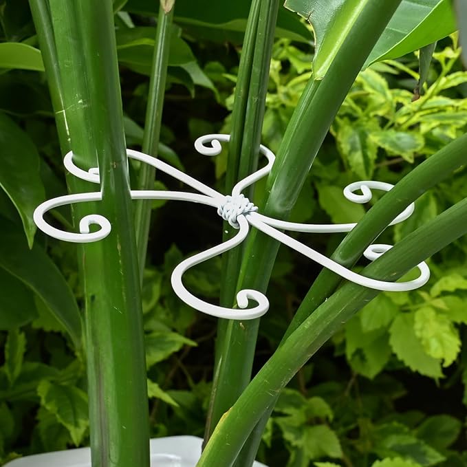 5PCS Monstera Plant Support Hook - 5.5x5.5 inch Premium Indoor Stem Stabilizer for Monstera & Fishbone Cactus, Durable,Easy Installation, Gentle Protection for Healthy Plant Growth Yohsnor