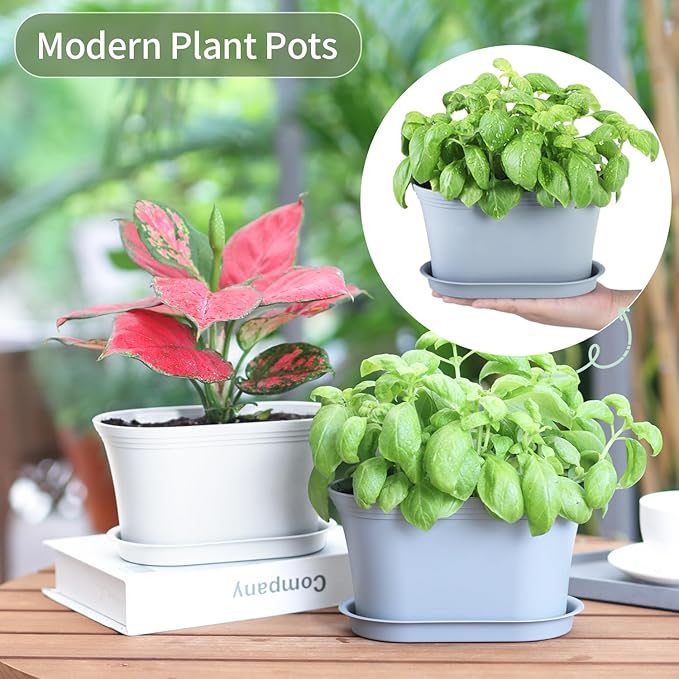 Windowsill Herb Garden Planter with Tray, Set of 6 Grey Oval Farmhouse Garden Pots for Indoor/Outdoor Plants (No Seeds) Oliz