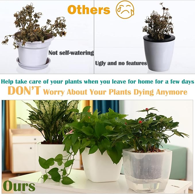 6-Pack 7 Inches Clear Self Watering Planters for Indoor Plants Large African Violet Plant Pots Plastic Wick Flower Pots with Water Injection Hole, Orchid Plant Pot Set, Clear Planterhoma