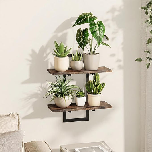 Bamworld Wall Planters for Indoor Plants Window Plant Shelves Vertical Plant Holder Wall Decor Plant Stand Indoor Floating Shelves for Plant Hangers for Living Room Bedroom Bathroom Bamworld