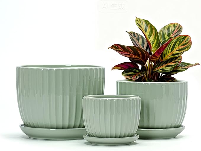 Ton Sin Flower Pots, Light Green Ceramic Plant Pots Set of 3,Small Glazed Succulent Pots with Drainage Hole,Cactus Planter with Saucer,Outdoor Garden Pots (Green) TonSin