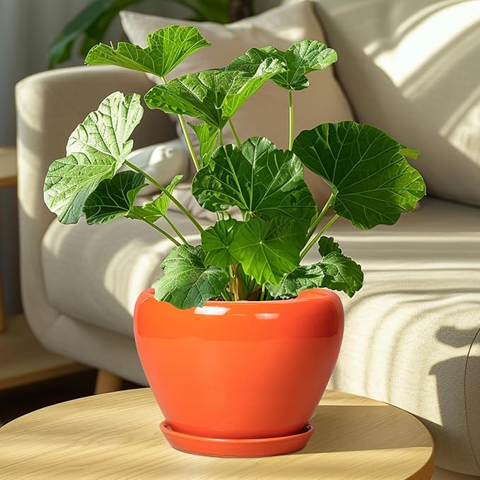 Indoor Plant Pot 8 Inch - Ceramic Plant Pot with Drainage Hole and Saucer, Glaze Decorative Modern Round Planter for Outdoor Plants, Housewarming Gifts, Office Home Garden Decor, Orange Ceramicfor
