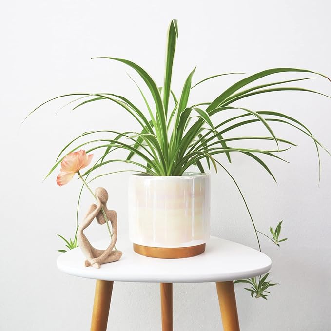 Gepege White Indoor Pots for Plants, Ceramic Planter with Drainage Hole, 6.0 inch+5.0 Inch+4.0 Inch. Succulent Orchid Flower Pot - Rainbow Pearl Glaze Gepege