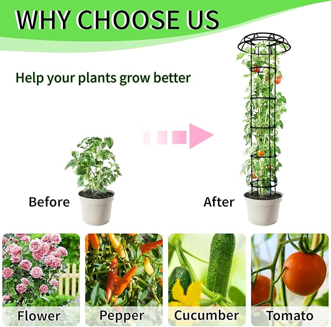 2-Pack 77-Inch Garden Trellis for Climbing Plants,Heavy-Duty Metal Obelisk with Mushroom Top,Stable Support for Potted Clematis,Tomato,Cucumber,Rose,Pea & Vine TCBWFY