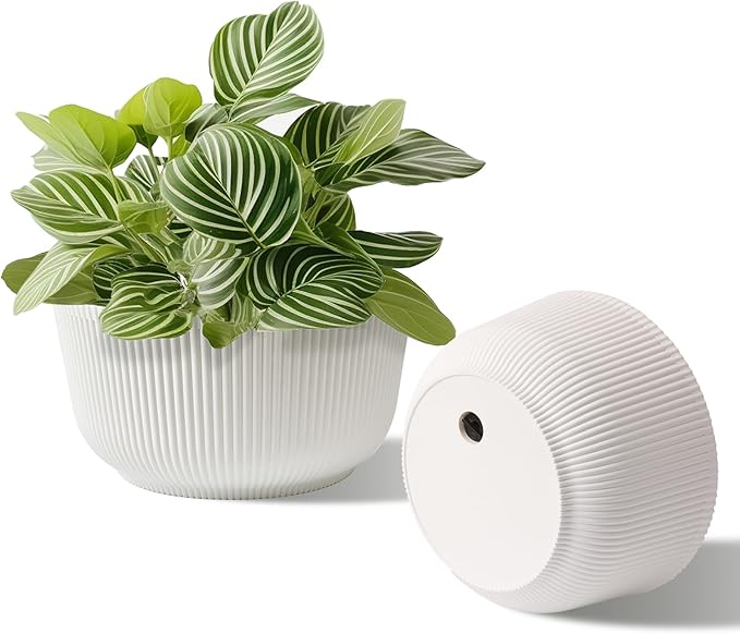 T4U 10 Inch Self Watering Pots for Indoor Plants, 2 Pack Large Plant Pots, Self Watering Planter for Indoor Plants, Durable Plastic Pots (2 Pack,10", White) T4U