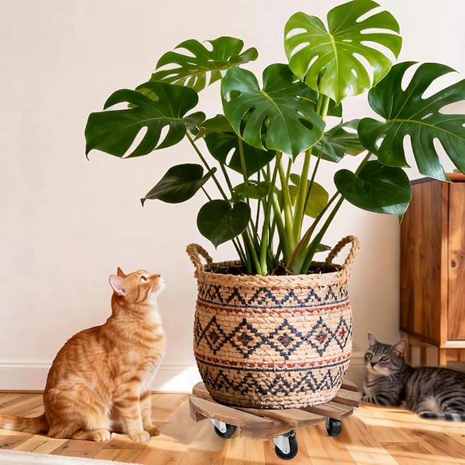 2 Pack Plant Stand with Wheels, Plant Caddies with 360° Lockable Smooth Sliding Wheels Durable Sturdy, Outdoor/Indoor Heavy Duty Rolling Plant Stand for Plant Pot,Flower Pot (12" Dark brown) DecorateYourRoomwithCuffUpFarmhouseHomeDecor