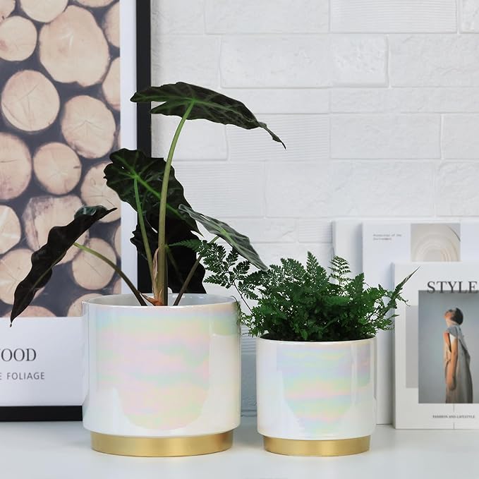Gepege White Indoor Plant Pots for Plants, Ceramic Planter with Drainage Hole, 7.6 Inch +6 Inch 2pcs Succulent Orchid Flower Pot - Rainbow Pearl Glaze Gepege