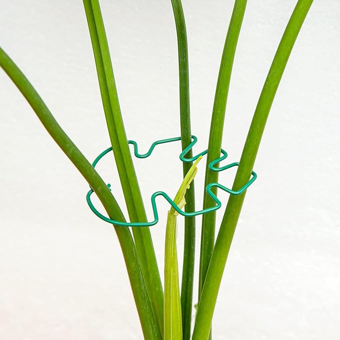 Monstera Plant Stem Support - 4.13 x 2.95 Inches 5 Pack Durable Leaf Holder for Climbing Plants, Ideal for Monstera & Vining Plants, Elegant Design for Plant Lovers Yohsnor