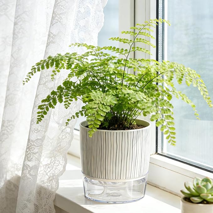 Self Watering Pots for Indoor Plants, 4 and 5.3 Inch, Plastic, Black Stripes, Round, Modern, Tabletop Samhe