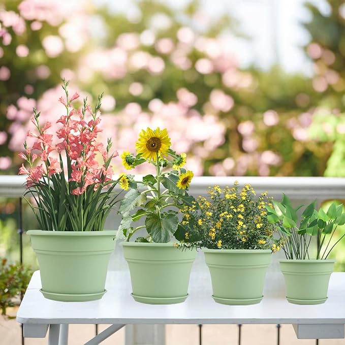 6 Inch Plastic-Flower Pot-for-Indoor Plants, 6 Pack Outdoor Plant Pots with Drainage Holes & Saucers, Resin Garden Pots Planters Pottiffe