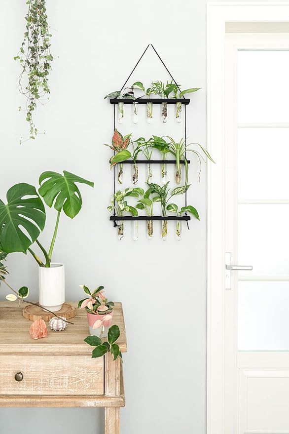 Mkono 3 Tiered Wall Hanging Plant Terrarium with Wooden Stand Mini Test Tube Flower Vase Glass Planter for Hydroponic Plant Cutting Home Garden Office Decor Gift Mkono
