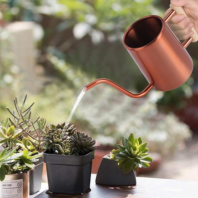 Watering Can Indoor Plants, 35 oz/1000 ml Metal Stainless Steel Watering Can Pot with Long Spout for Indoor House Plants Bonsai Outdoor Garden Flower Decorative (Copper) Rootora