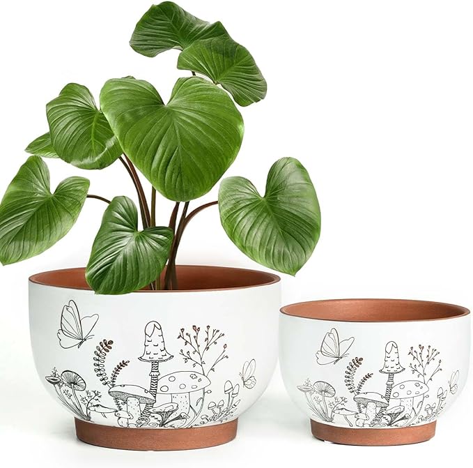 YBX 8 Inch & 6 Inch Terracotta Pots, Plant Pots, Flower Pots for Indoor Plants with Drainage, Planters with Mushroom Accent for Indoor Plants (Cottage) YBXYIBOXUAN